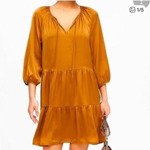 Banana Republic Rust Satin Dress